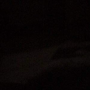 Meet your Posher, Rodney